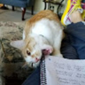 Meet your Posher, Catherine